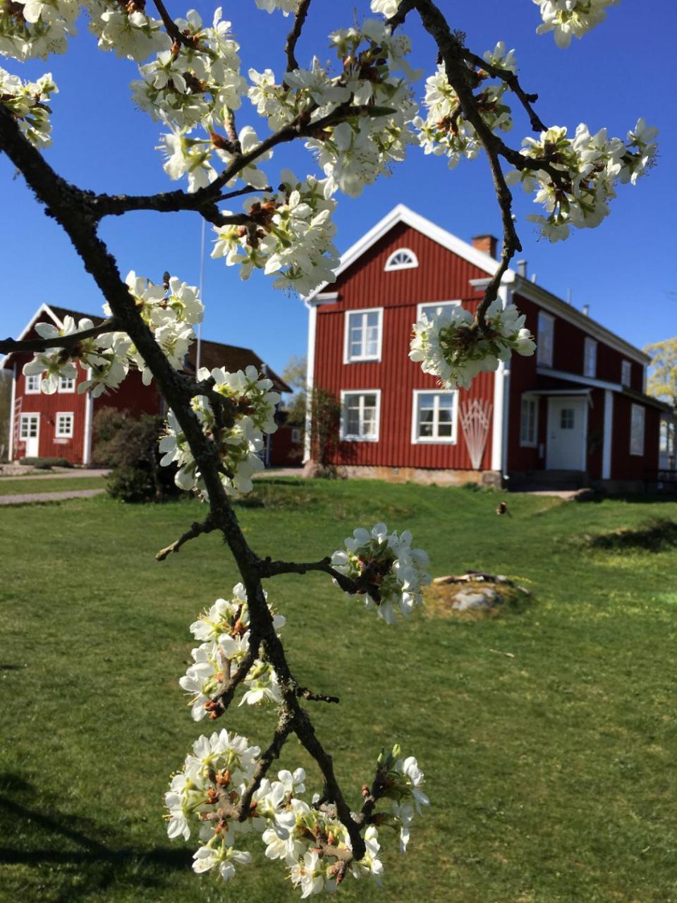 Snokebo Gard Vila Vimmerby Exterior foto